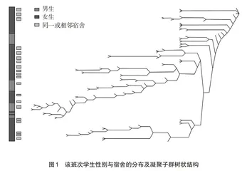 大学生协作学习现状对个体化教学管理的启示