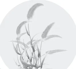折一茎狗尾草