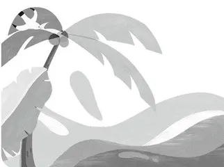 现实主义的椰树