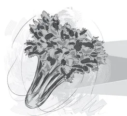 青青者芹