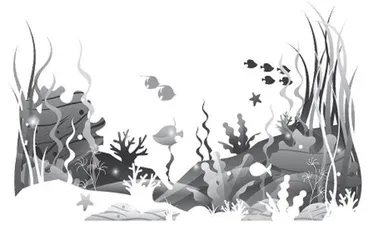 与进化论“较劲”的海草
