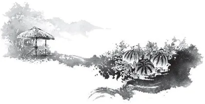 秋天的瓜秧