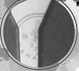 车牌防伪标志上的“彩蛋”