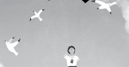 寻找肩膀的海鸥