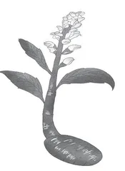 留白