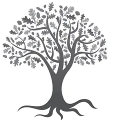 有用的“无用之木”