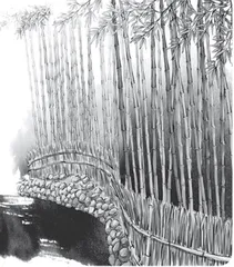 与竹重归于好