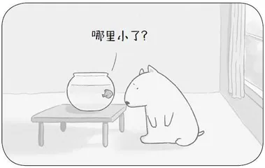 吃薯条等七则2
