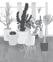 听，植物在“尖叫”