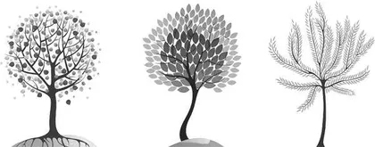 三棵树