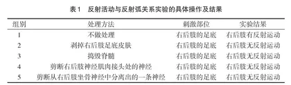 基于核心素养高中生物概念复习教学策略探索