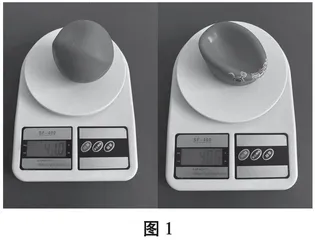 农村小学科学课实验教学由定性向定量的进阶