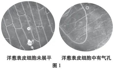 小学科学探究“循证”进阶的探索