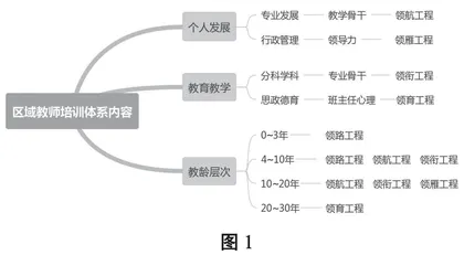基于教师专业发展诉求优化区域教师培训