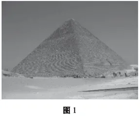 将“你知道吗”融入数学阅读教学