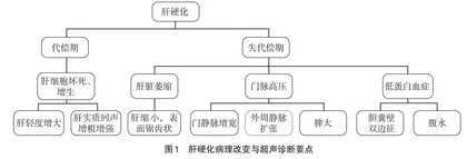 提高中医院校学生超声课堂教学质量的策略思考