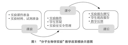 “全程主人翁”模式在“分子生物学实验”课程中的实践