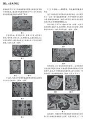 让“蚕艺”点亮农村学生的心灵