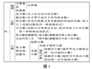 小数和分数不可混为一谈