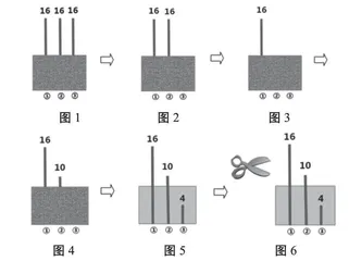 素养引领：优化作业设计新路径