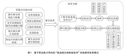 基于职业能力导向的实验教学改革初探