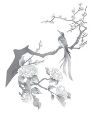 以学定教 构建生本课堂