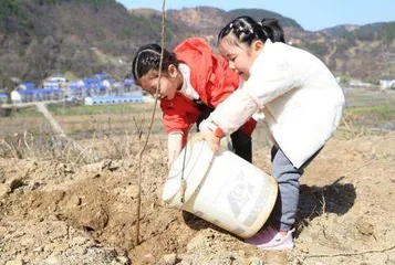 “环境污染大搜索”探究性实践活动设计与实施