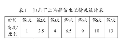 小学数学项目式学习实施关键策略