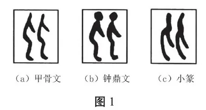 全景式数学教育视角下的“比较”：  从离散到连续,知结构而见森林