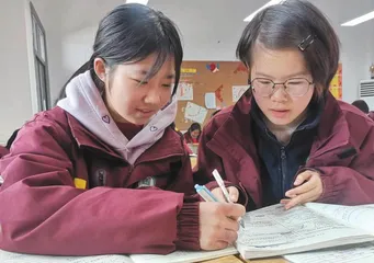 “同伴共学”在大单元教学中的实践