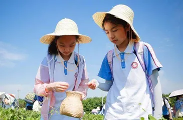 “观察日记”跨学科学习路径设计