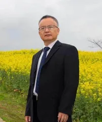 语文水平调研的价值、原则与路径