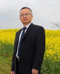 语文水平标准的层级