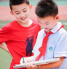 “识、析、用”统计图表策略探析