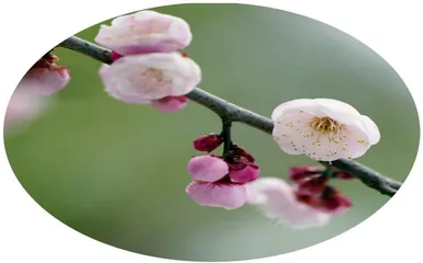 不期而遇的“感谢”