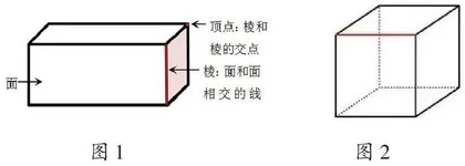 在观察活动中发展空间观念
