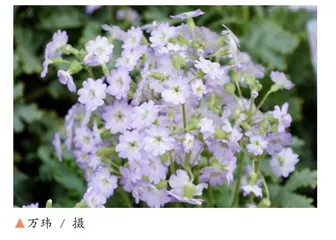 建构等量模型巧解浓度问题
