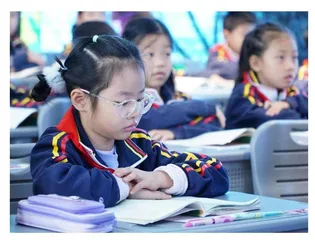 现代诗教学要涵养审美素养