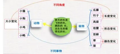 搭建支架，提高习作单元教学效率