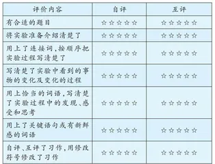 瞻前顾后学观察 搭建支架写清楚