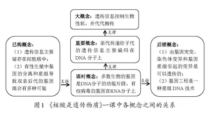 基于科学史时间轴分步培育生物学核心素养