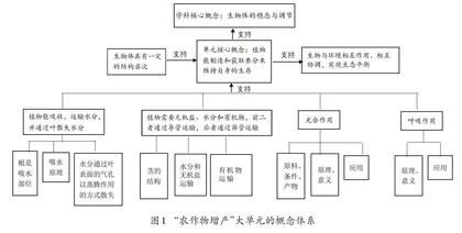 聚焦核心概念的单元教学设计与实践
