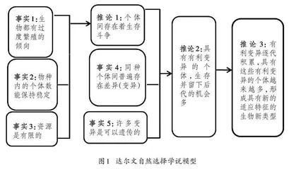 “梳理”：深度学习视域下高中语文有效教学的路径