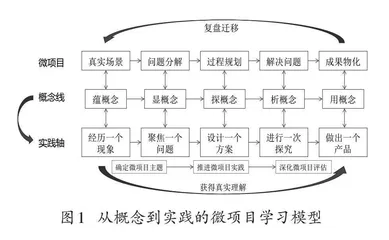 初中科学微项目学习的实践探索