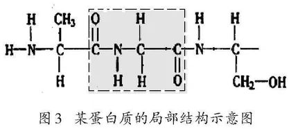 跨学科知识在高中生物学探究性实践活动中的应用