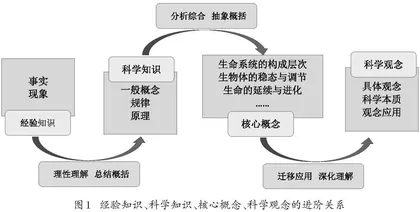 基于“证据-推理”建构科学观念的路径与策略