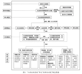 指向跨学科概念“结构与功能”的教学探究 