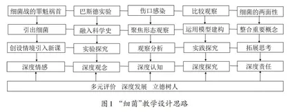 课程思政背景下指向深度学习的生物学教学实施路径