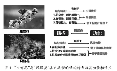 聚焦真实问题 促进深度学习