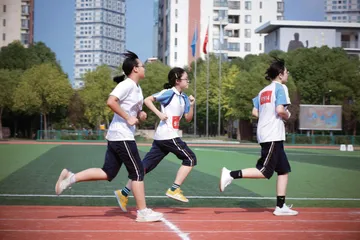 以深度学习助力STEAM教育理念落实